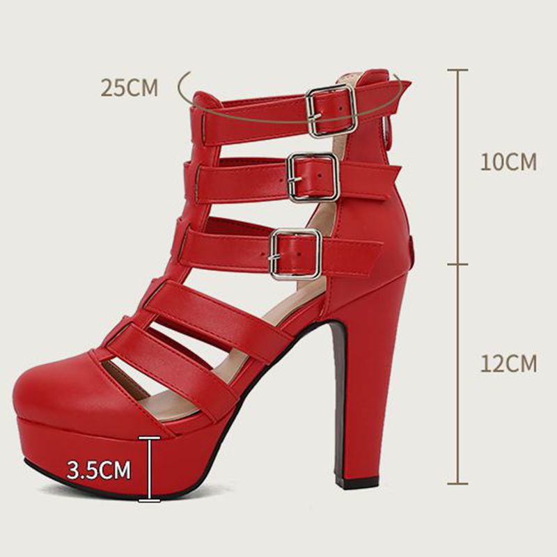 REAVE CAT Luxury Female Sandal - Women'S Fashion Belts recension och pris